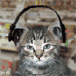 A gif of a grey tabby kitten with headphones on swaying