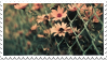 A photo of pink flowers behind a chain fence