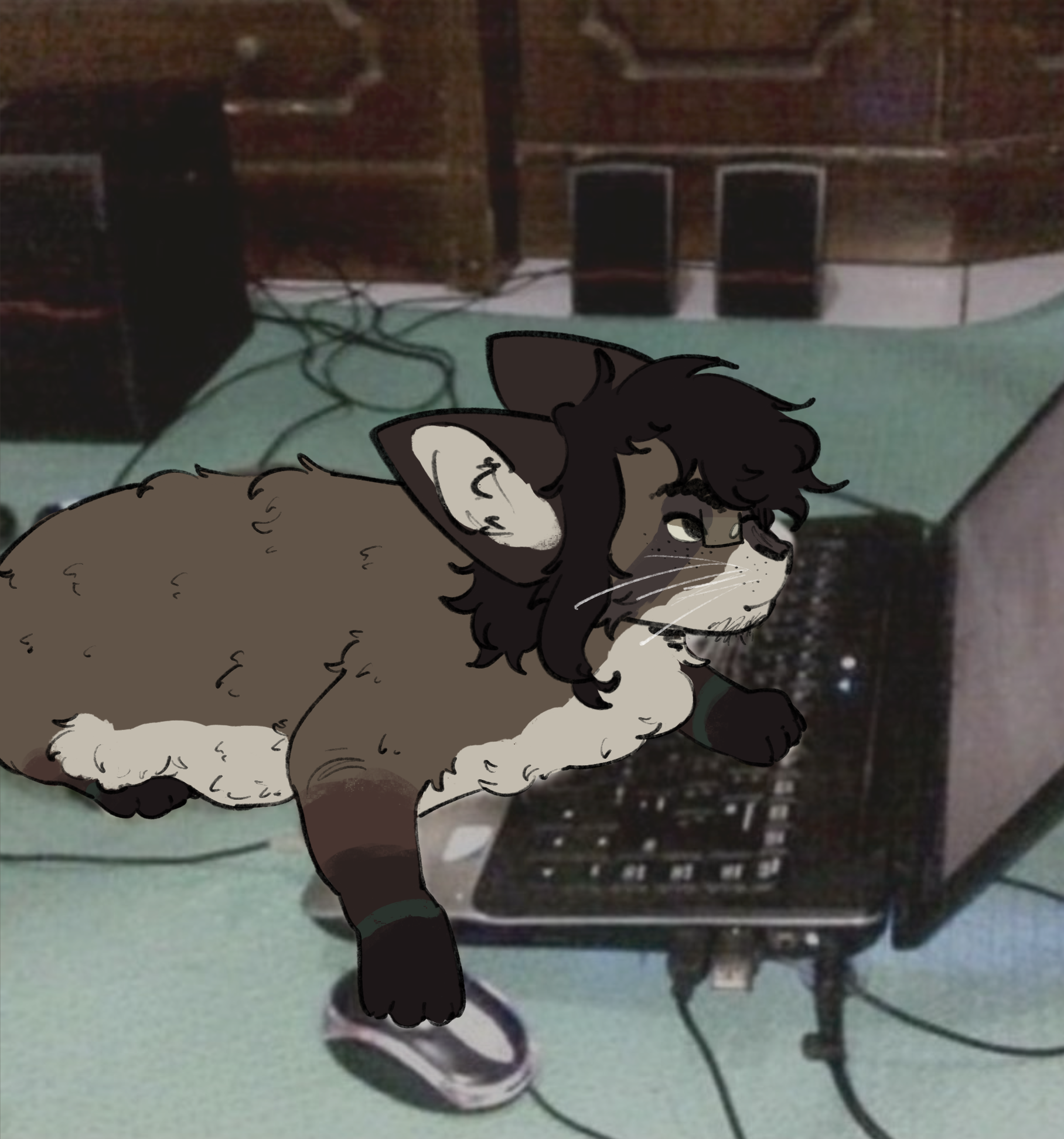 A drawing of a brown and cream colored cat with long black hair laying down using a mouse and looking at a laptop