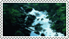 a gif of a waterfall in a lush green forest