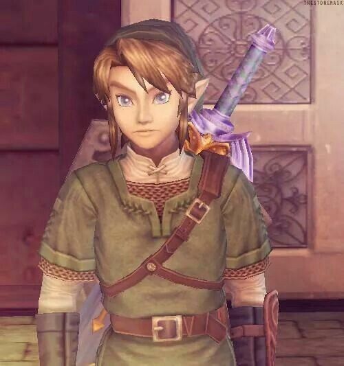 A halfbody screenshot of link in twilight princess