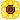 a gif of a sunflower